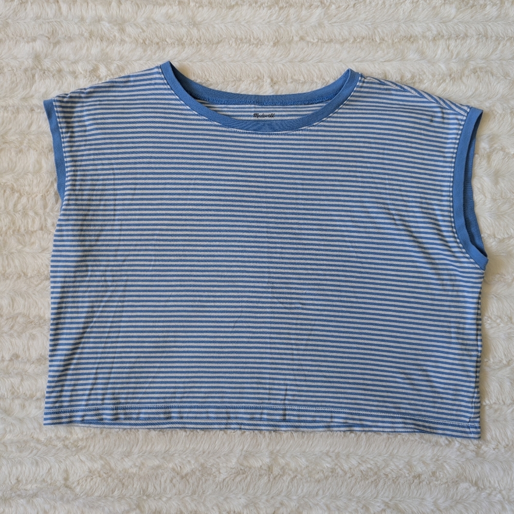 Madewell Blue and White Muscle Tee Crop